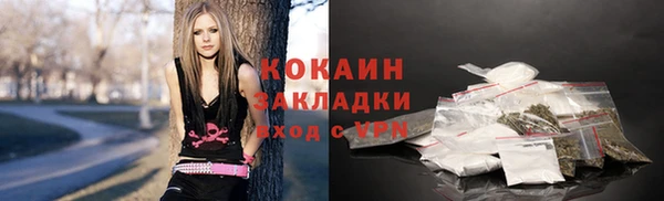 винт Бронницы