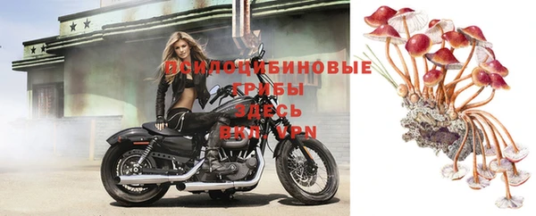 винт Бронницы