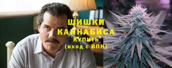 винт Бронницы