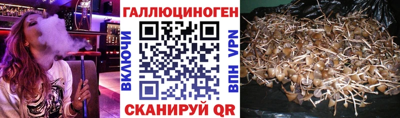 Псилоцибиновые грибы MAGIC MUSHROOMS  Ставрополь 