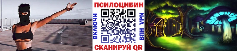 Псилоцибиновые грибы Magic Shrooms Ставрополь